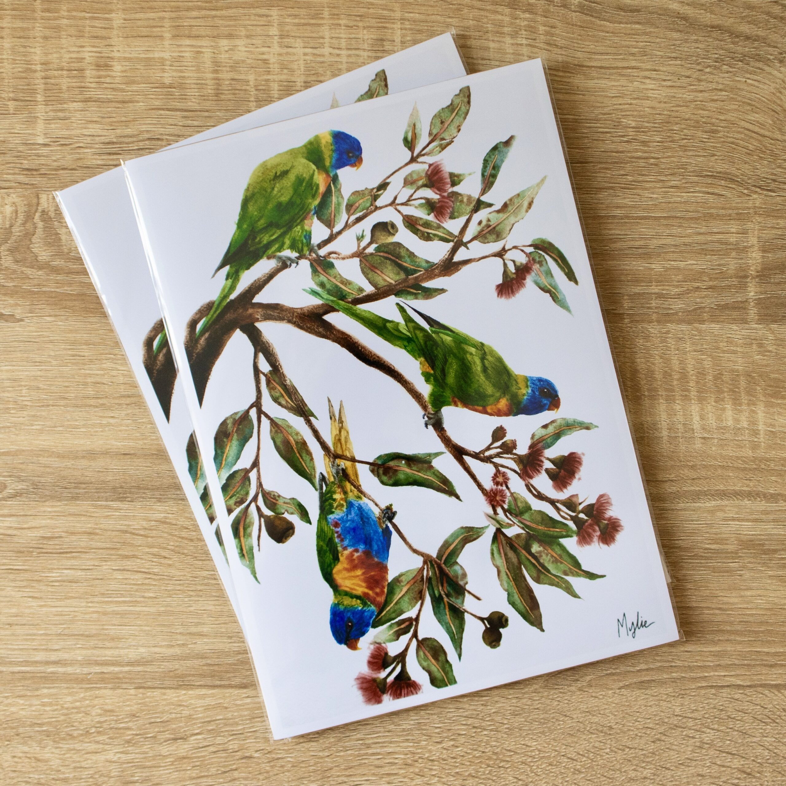 “Gumnut Forage” | A4 PRINT