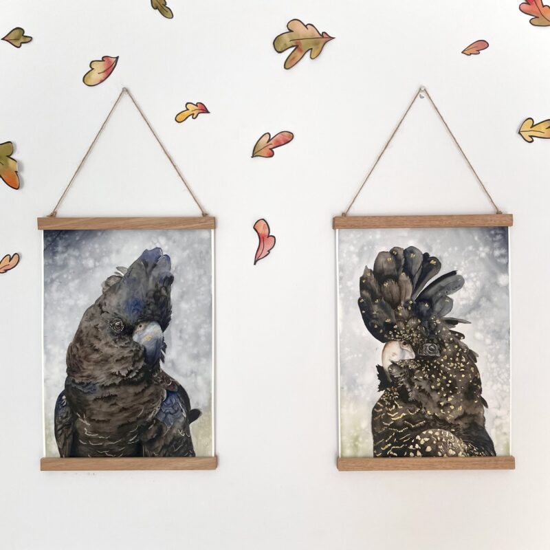 Red Tailed Black Cockatoo’s |ORIGINAL SET A3