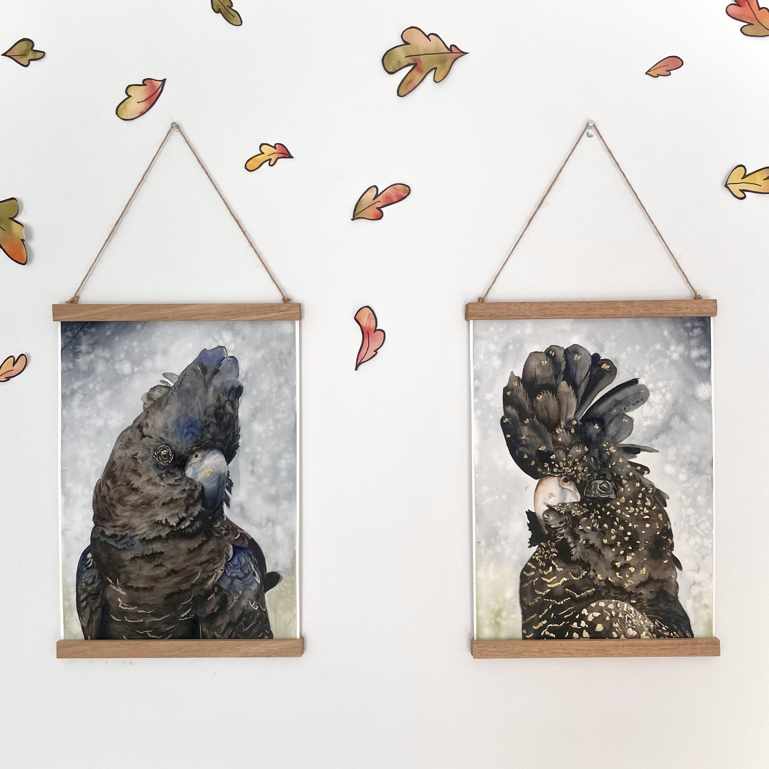 Red Tailed Black Cockatoo’s |ORIGINAL SET A3