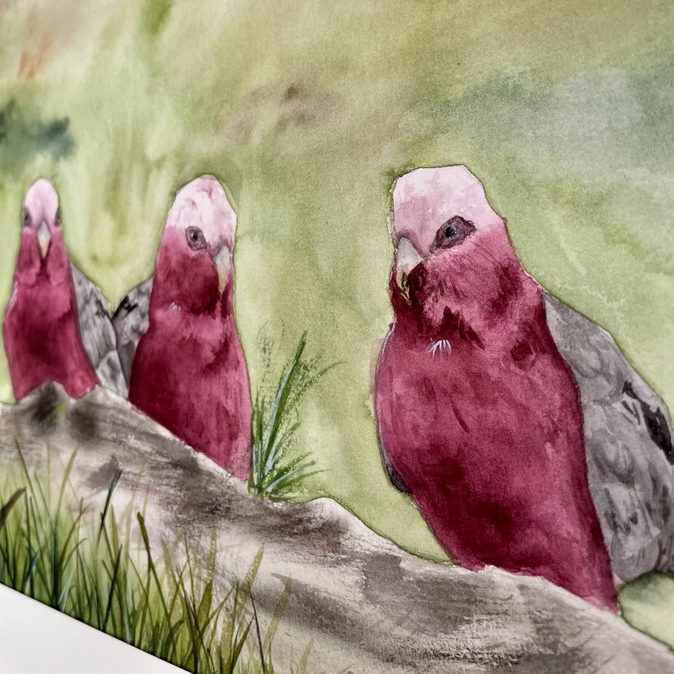 Feeding Galahs | Original Painting A3 - Image 3