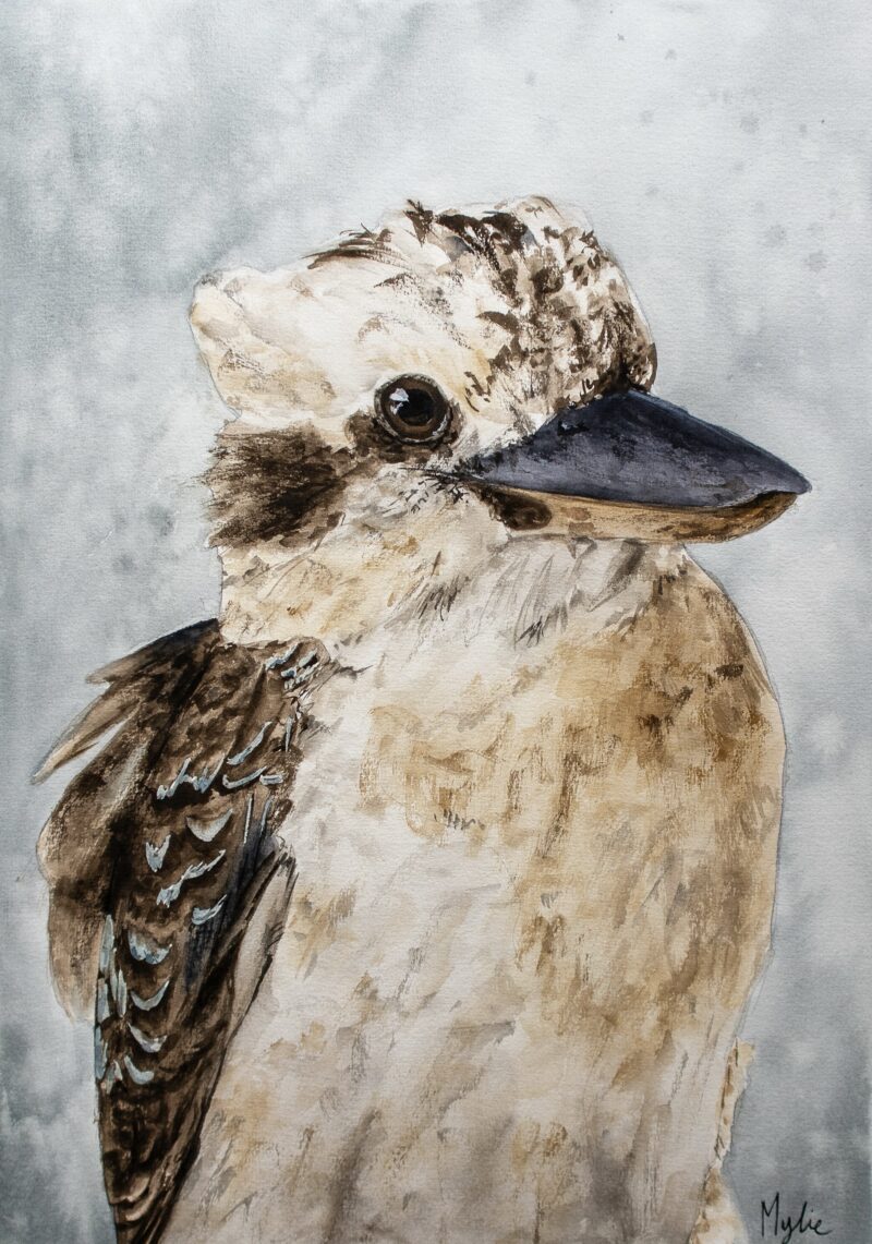 “Male Kookaburra” - Aussie Bird Profiles no. 5 | Original Painting A3