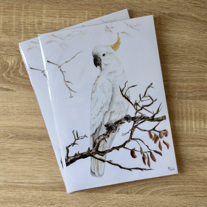 “Amongst the Branches” A4 PRINT