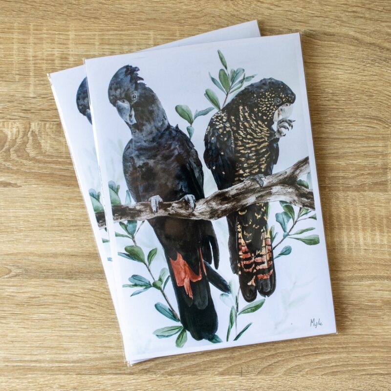 “A Red Tail of Two” | A4 PRINT