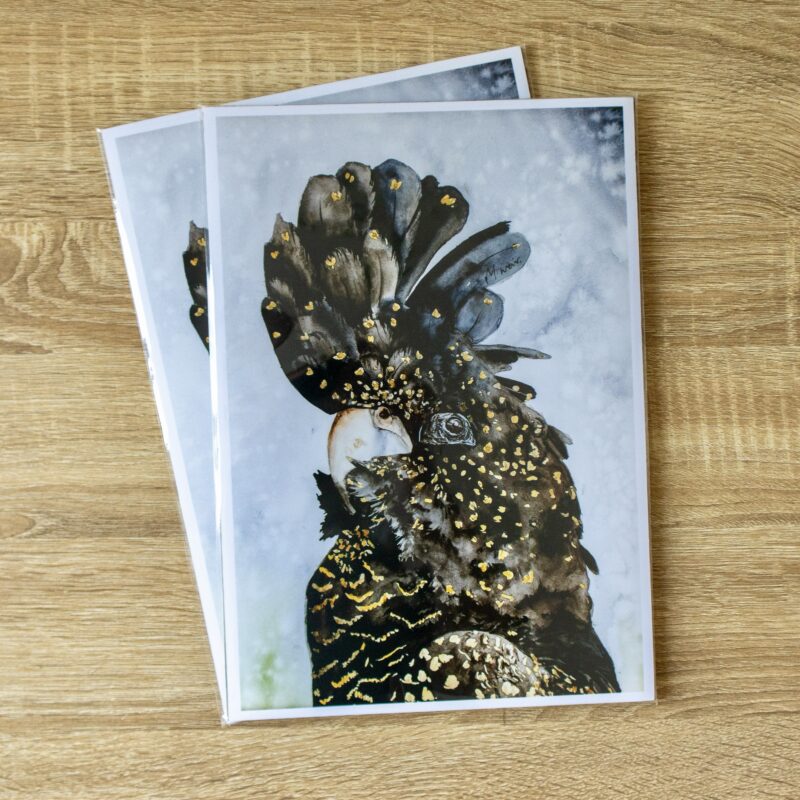 “Female Red Tailed Black Cockatoo” A4 PRINT