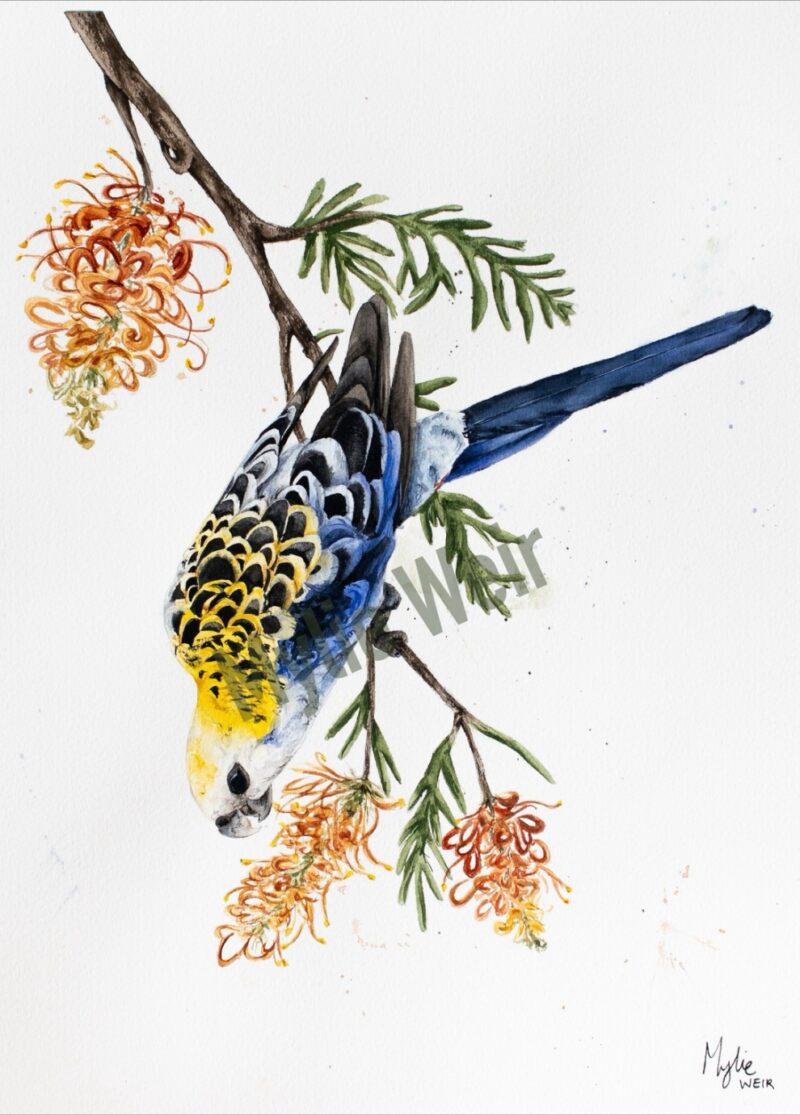 “A Delicate Reach” ORIGINAL Artwork