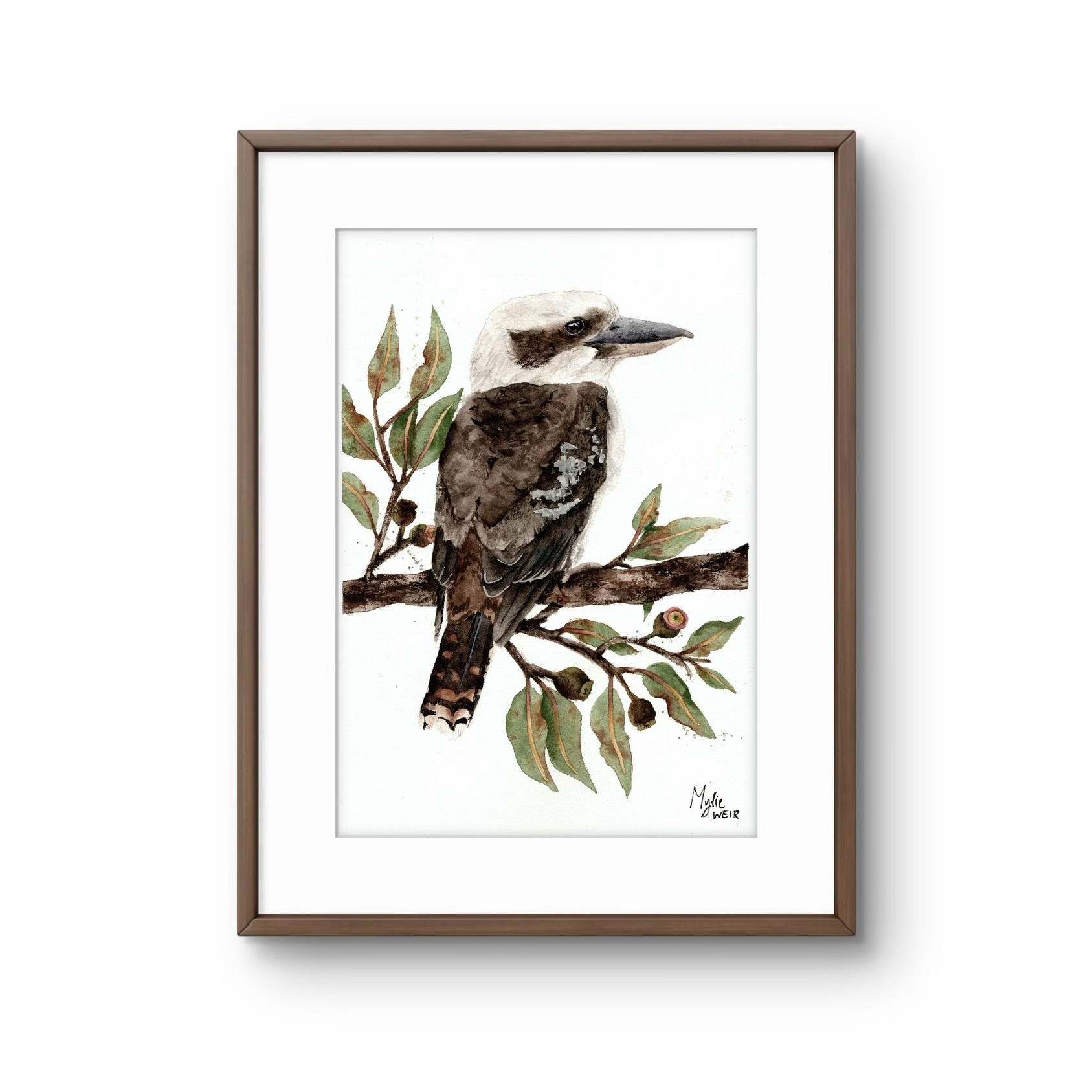“Native Kookaburra” ORIGINAL Artwork - Image 2