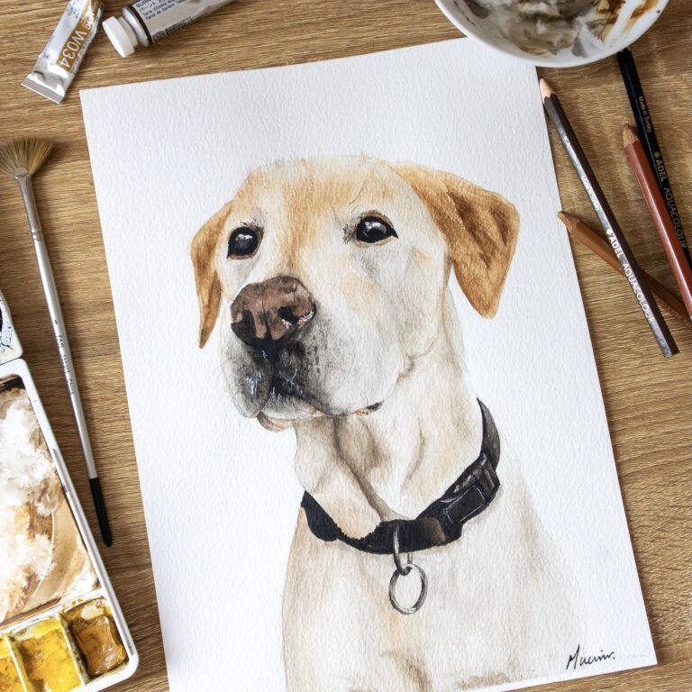 pet portrait commission of a labrador