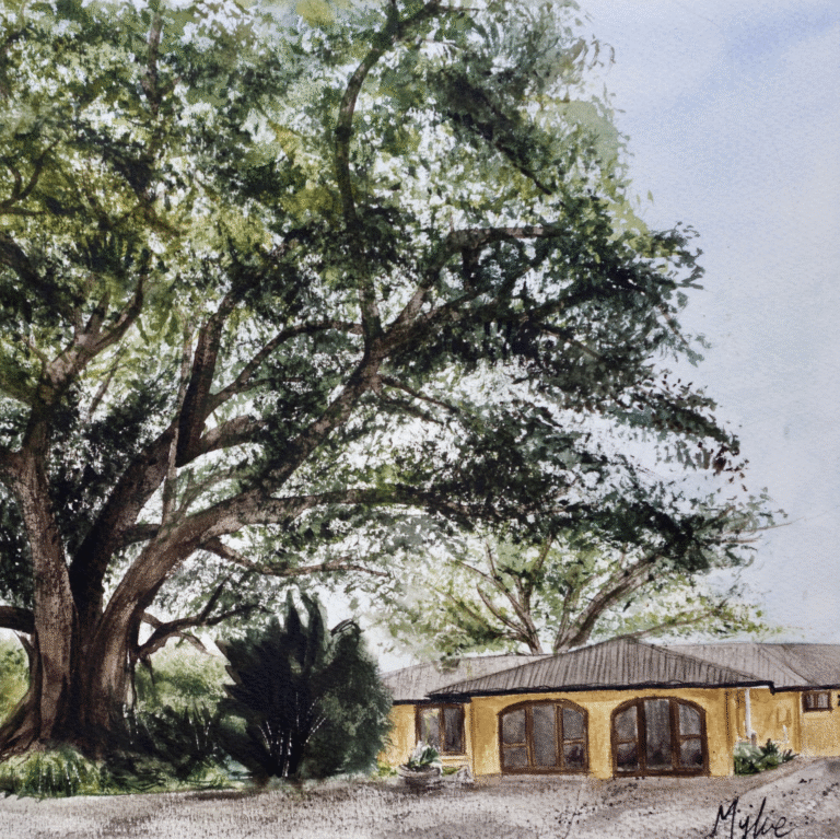 custom commission of a locals house