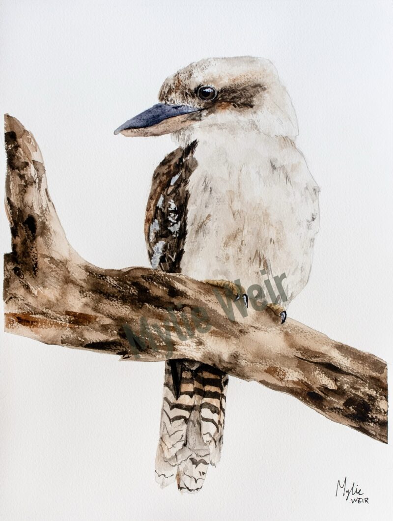 “Before the Laugh Begins” ORIGINAL Artwork