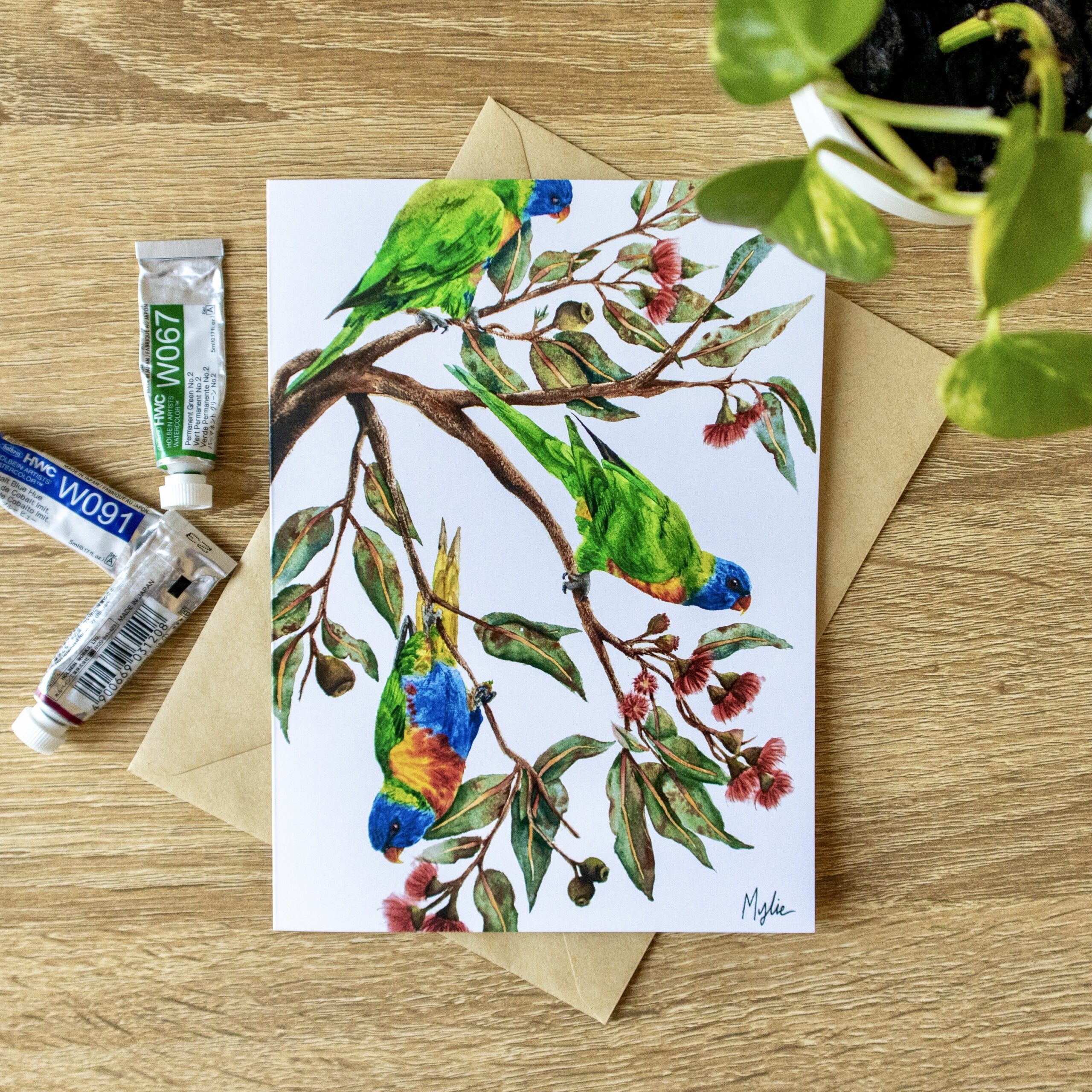 “Gumnut Forage” Greeting Card