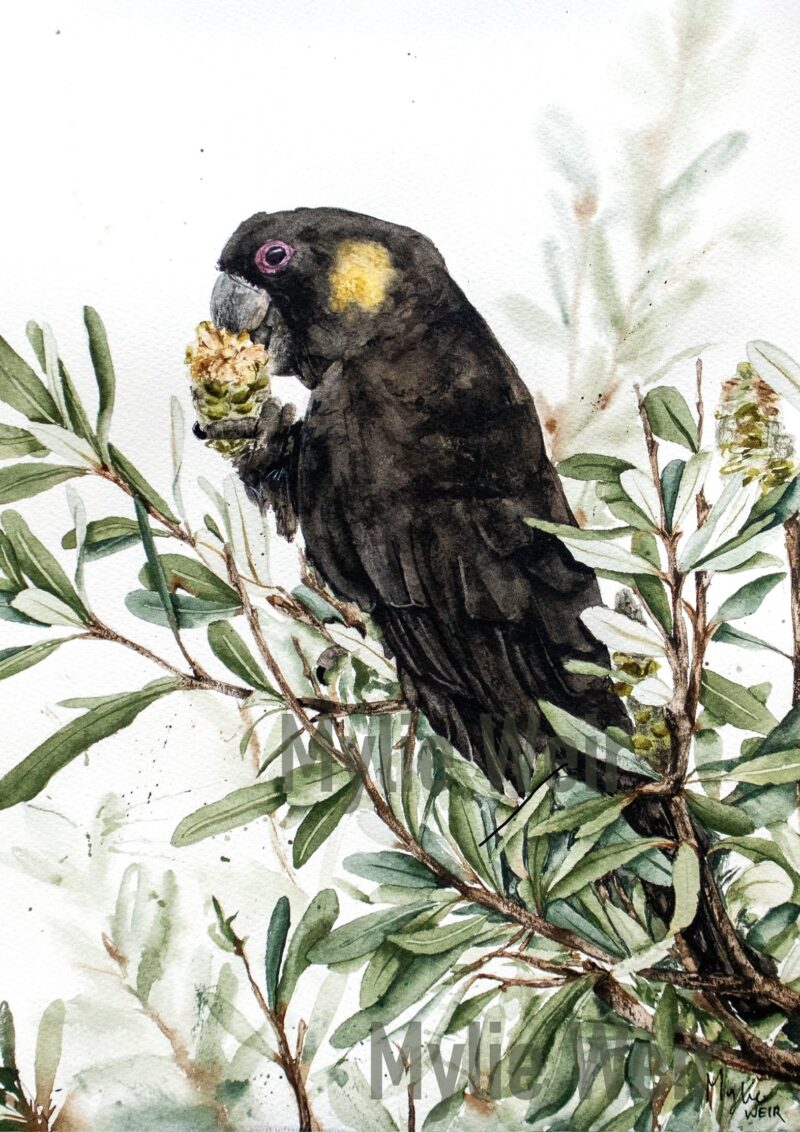 “An Unseen Strength” ORIGINAL Artwork