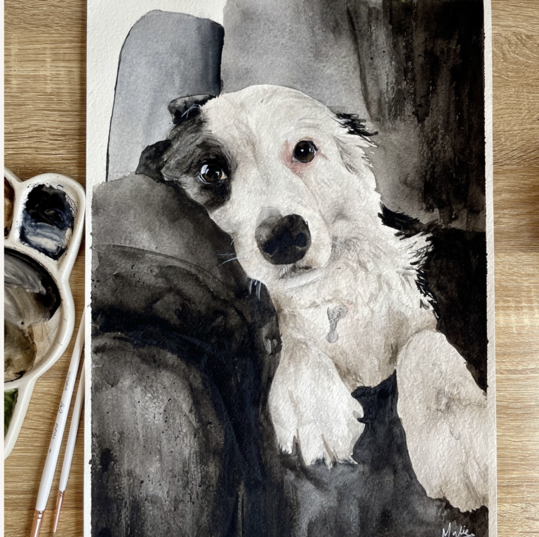 Screenshot 2026-02-12 at 3.15.02 PM