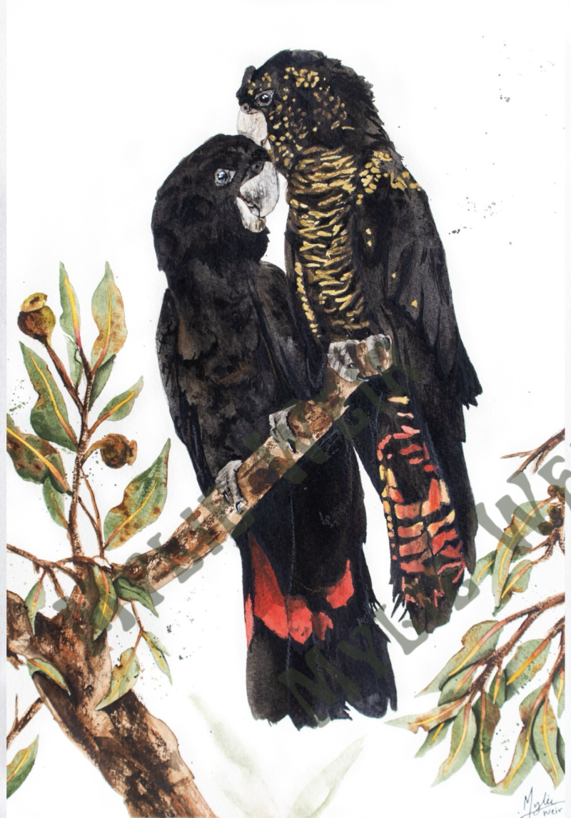 “Legends of the Red Tail” ORIGINAL Framed Artwork