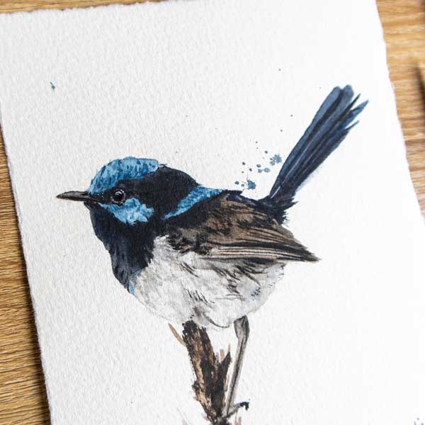 Superb Fairy Wren ORIGINAL Artwork - Image 2