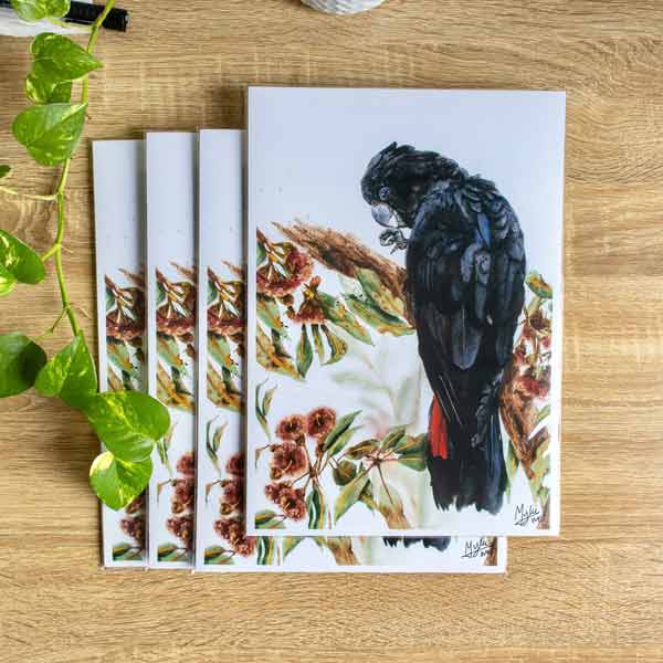 "Red Tailed Shadow" Limited Edition Print