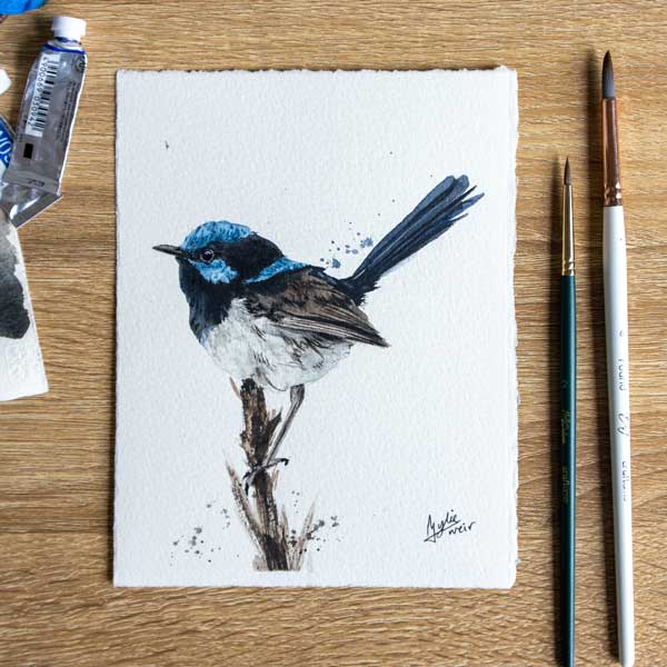 Superb Fairy Wren ORIGINAL Artwork