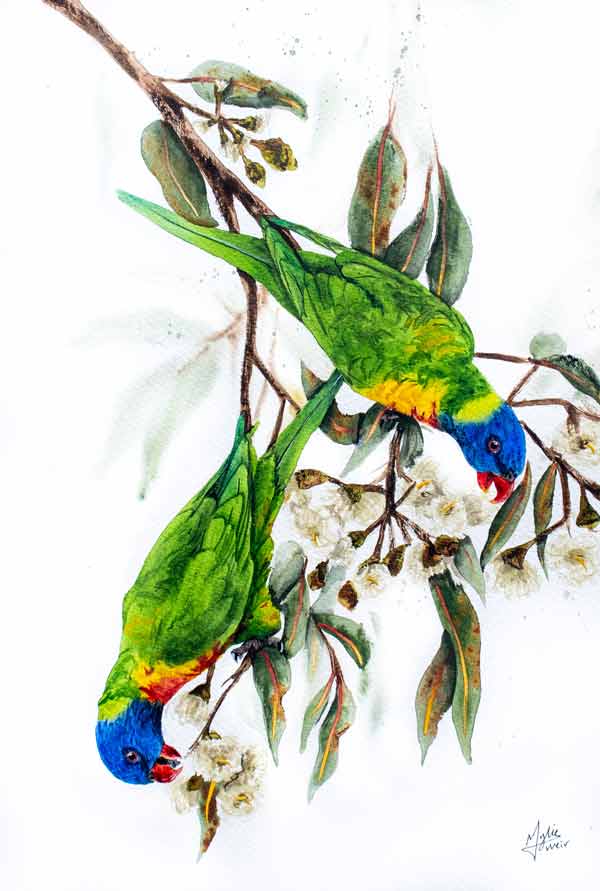 "Lorikeet Forage" ORIGINAL Artwork - Image 2