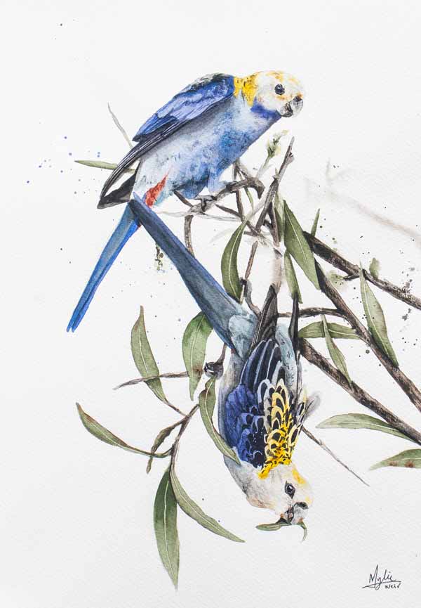 "Upside Down Rosellas" ORIGINAL Artwork - Image 2