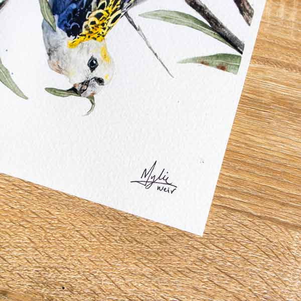 "Upside Down Rosellas" ORIGINAL Artwork - Image 4