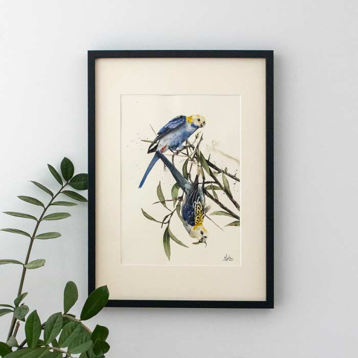 "Upside Down Rosellas" ORIGINAL Artwork
